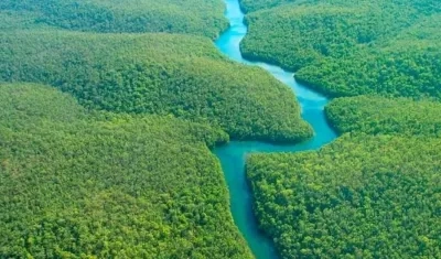La Amazonía colombiana.