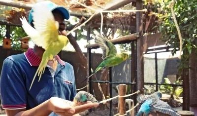 Asistente al Zoo compartiendo con aves.