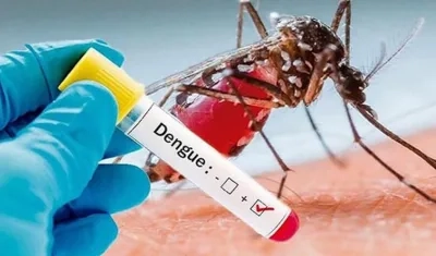 Las autoridades de salud recomiendan seguir las indicaciones para evitar el dengue.