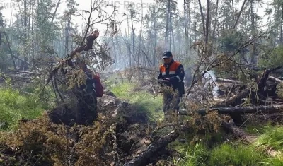 Hay 187 incendios forestales activos en Yakutia.