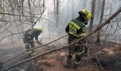 Incendio forestal en los cerros orientales de Bogotá. 