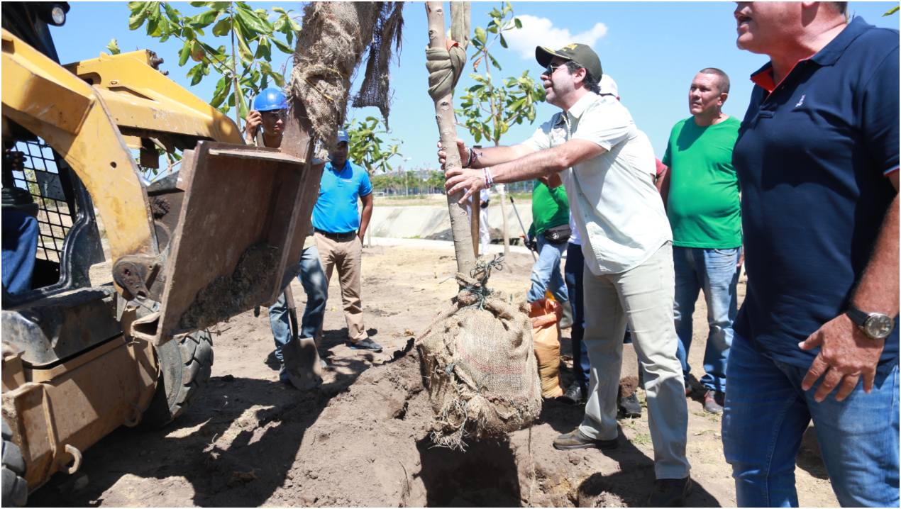  Siembra Barranquilla llegó al arroyo León con 793 árboles adultos para sembrarlos desde el Parque Industrial Caribe Verde hasta donde termina la canalización en El Pueblito.