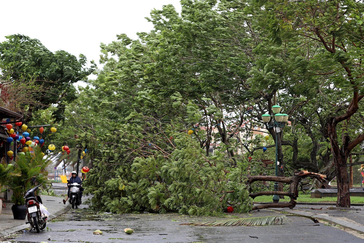 El tifón Molave arrastra vientos de 165 kilómetros por hora.