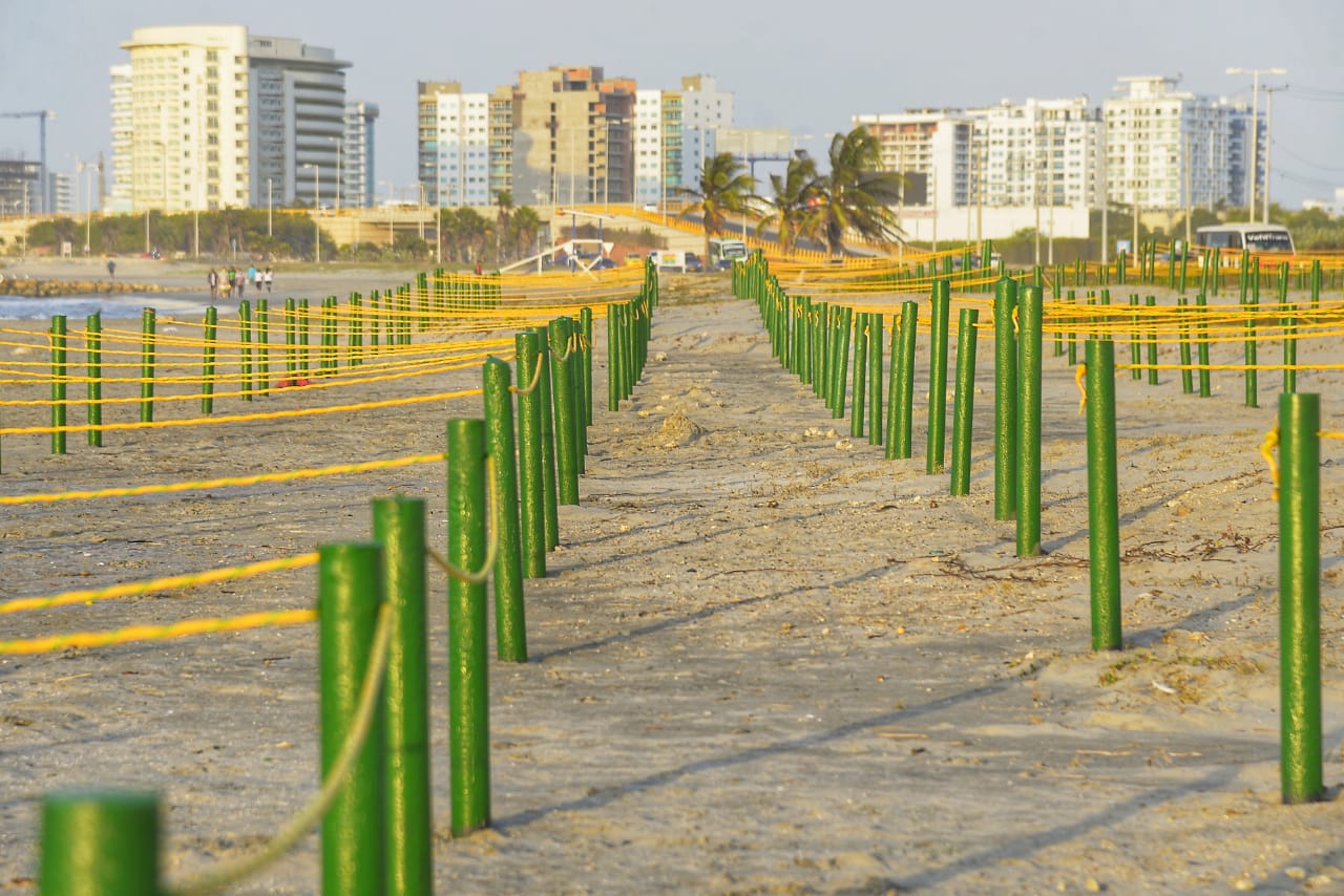 Desde el mes de octubre, a la fecha, Cartagena ha recibido más de 235.000 visitantes que han hecho su reserva a través de la página web reservadeplayas.cartagena.gov.co. 