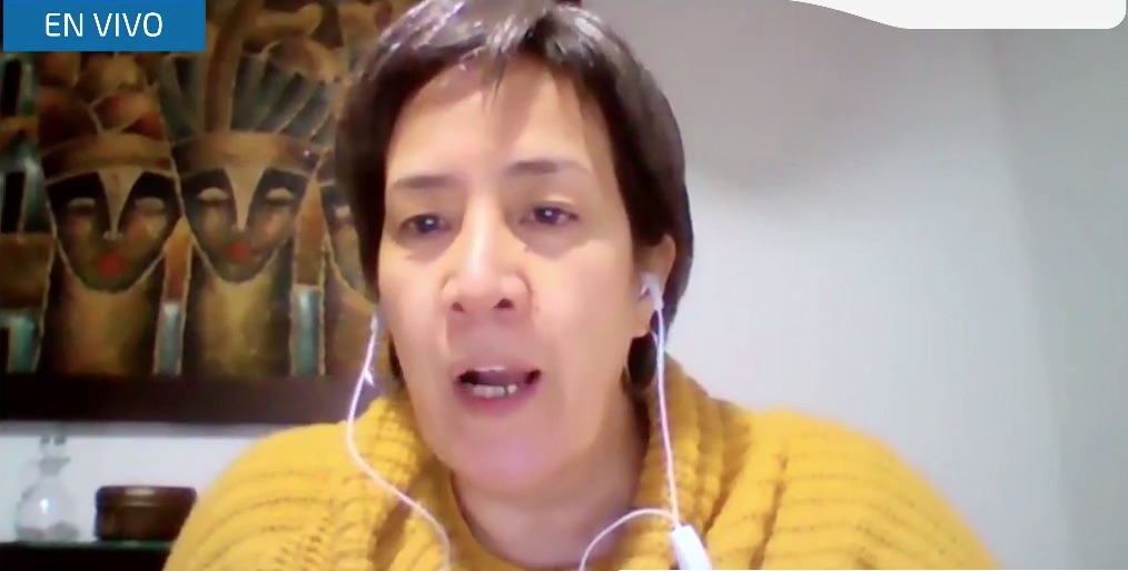 Martha Alfonso, vicepresidenta de Fecode en rueda de prensa virtual.