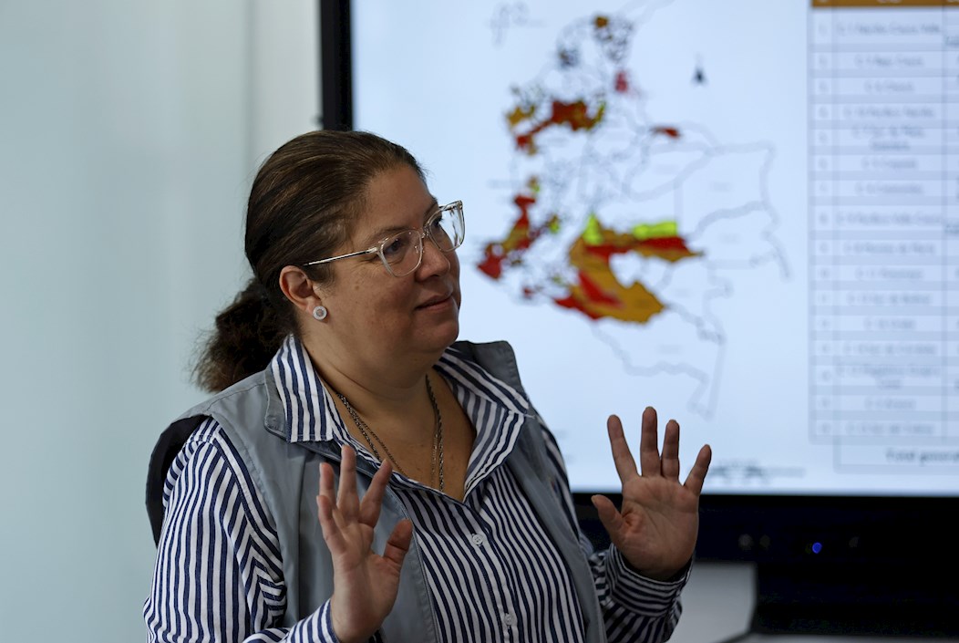 Alejandra Barrios,  directora de la ONG Misión de Observación Electoral (MOE).