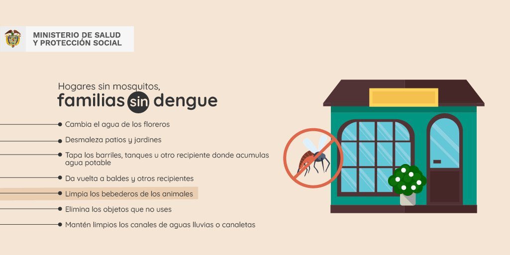 Siga estas recomendaciones para prevenir el dengue
