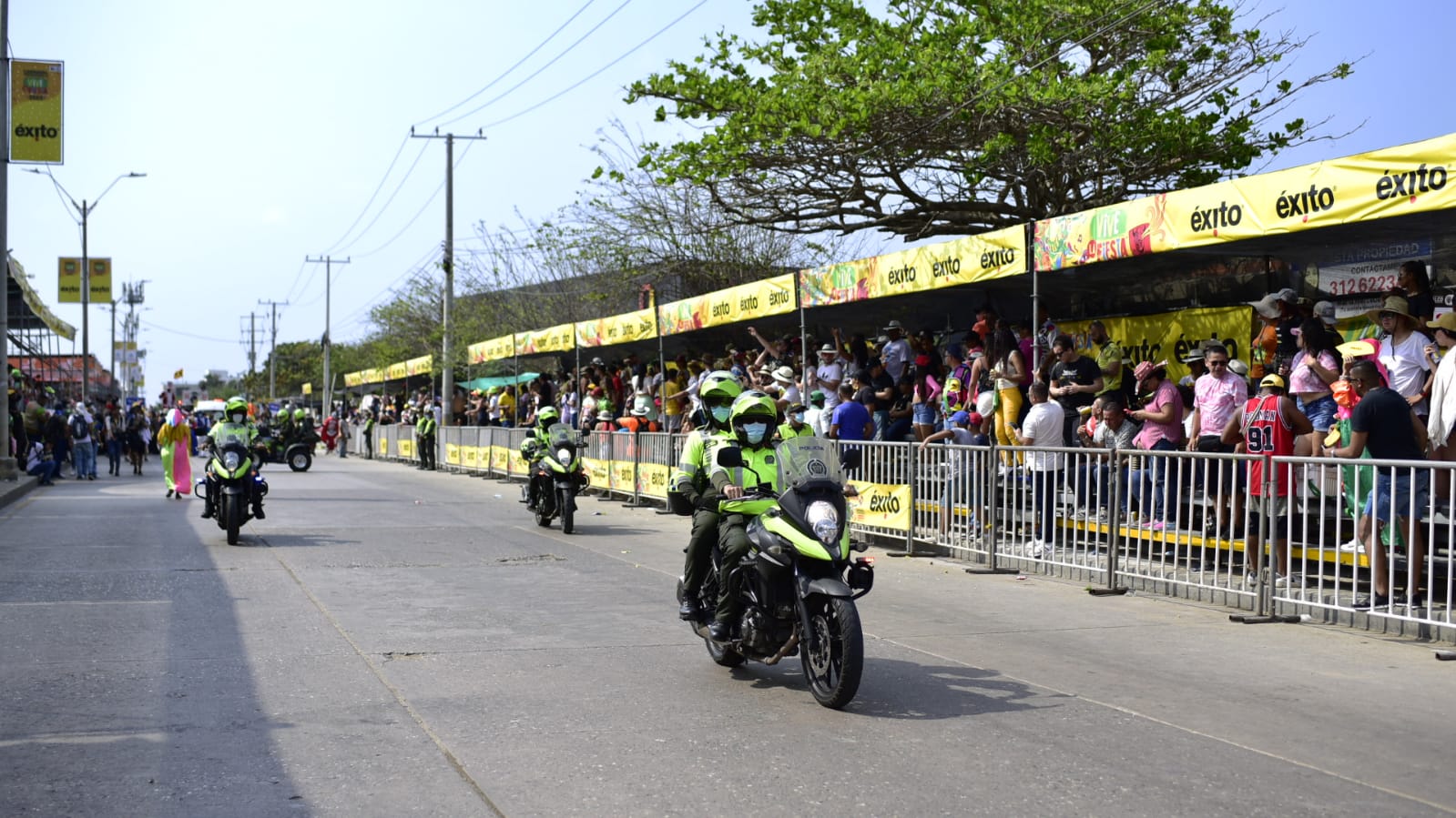 La Policía abrió nuevamente el desfile, tras emergencia con abejas.