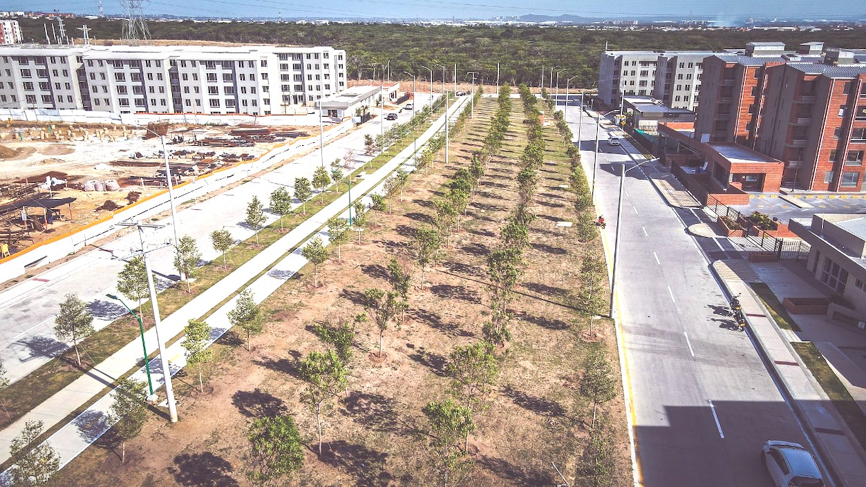 Con el programa siguen creciendo las zonas verdes en Barranquilla.