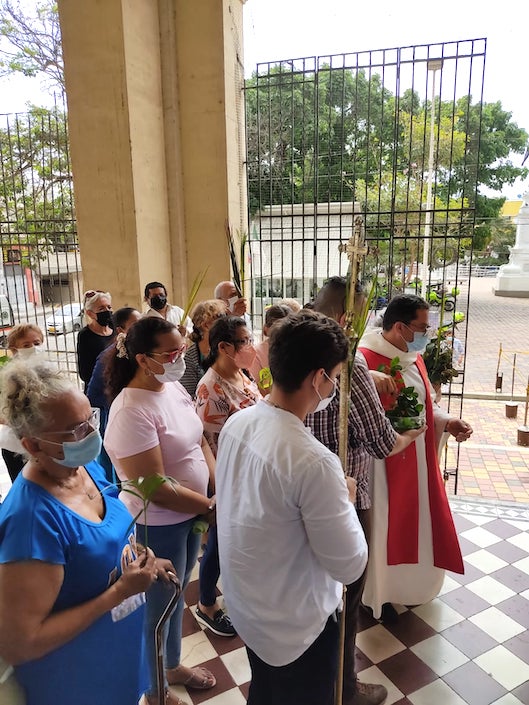 Bendición de las plantas vivas.