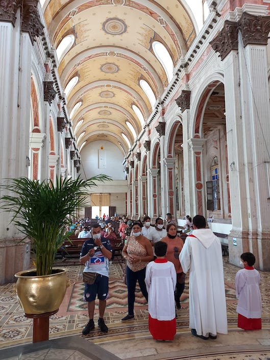 Comunión durante la misa del Domingo de Ramos.