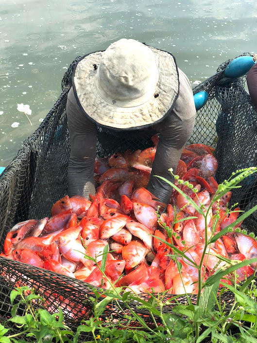 Actividad de pesca artesanal.