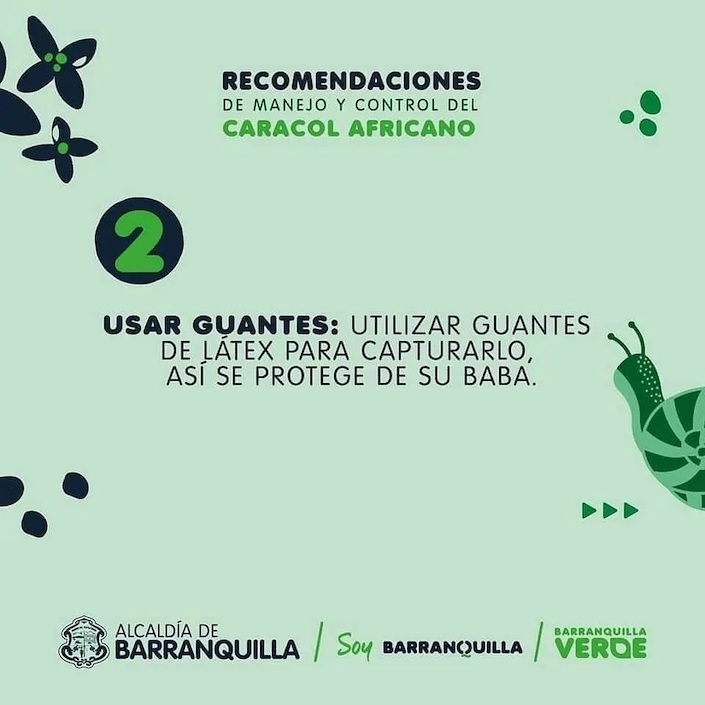 Recomendaciones de Barranquilla Verde.