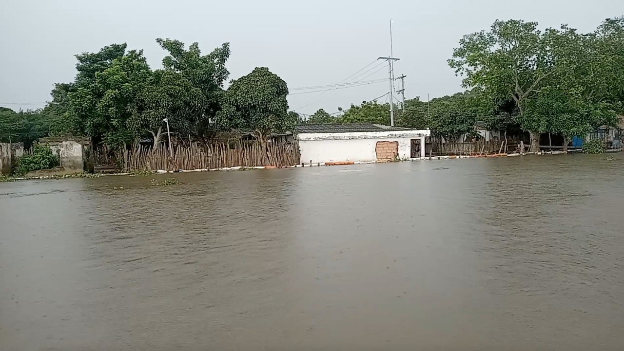 Ganaderos de la Costa lanzan SOS al Gobierno por inundaciones