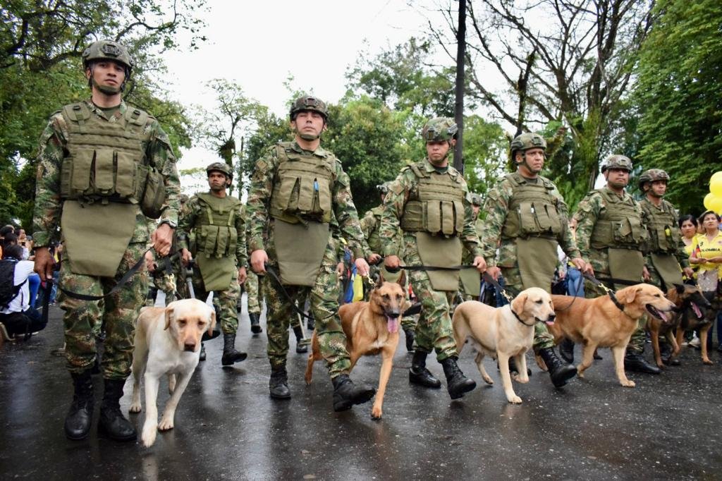 El Ejército salió con los perros entrenados de la institución. Ellos son héroes de 4 patas.