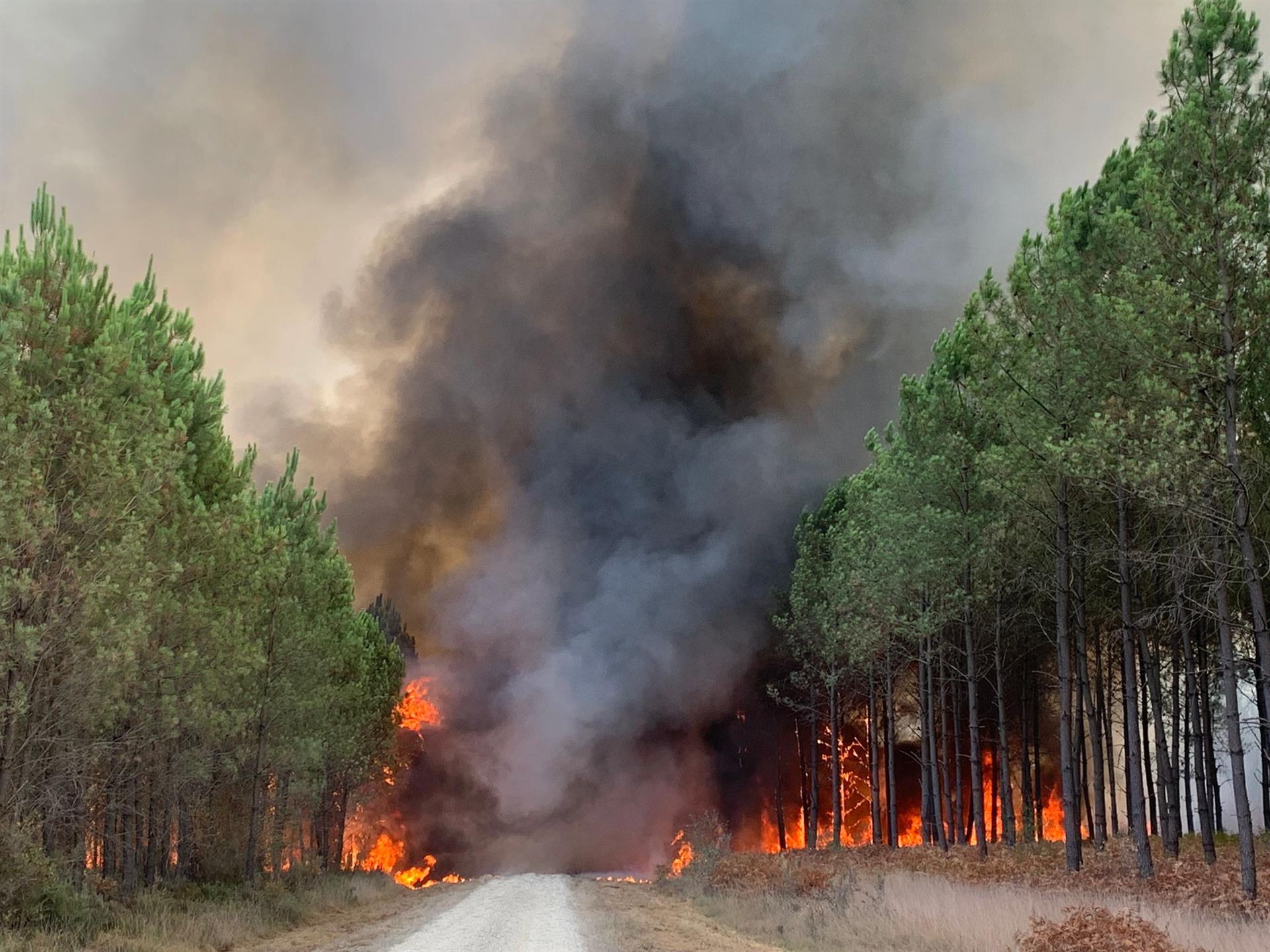 Uno de los incendios forestales que sacuden a Francia.