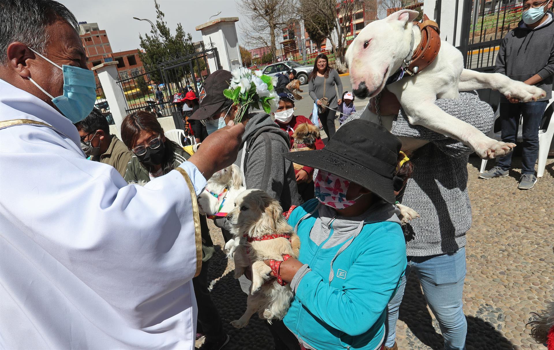 La misa por el Día de San Roque tuvo una gran afluencia de ciudadanos con sus mascotas.