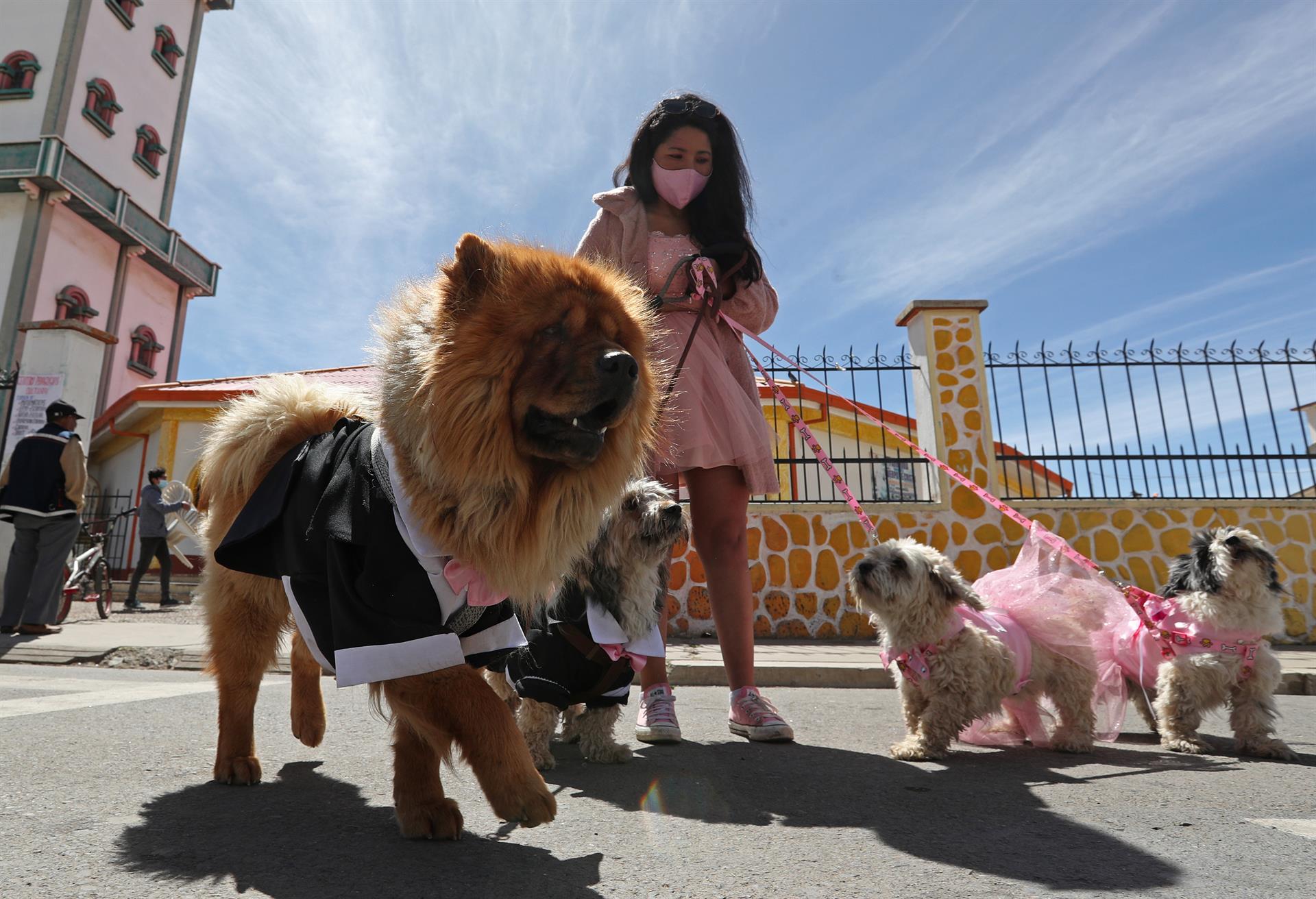 Una joven camina junto a sus dos mascotas en los alrededores de la parroquia de su barrio.