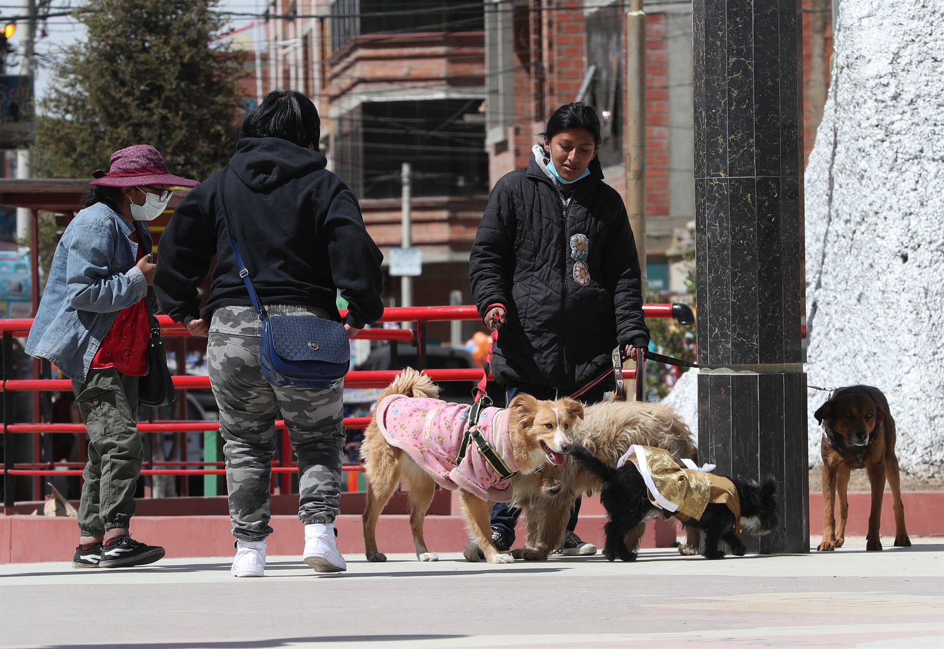Un ciudadano sostiene con lazos a varios perros en el barrio Ciudad Satélite de El Alto.