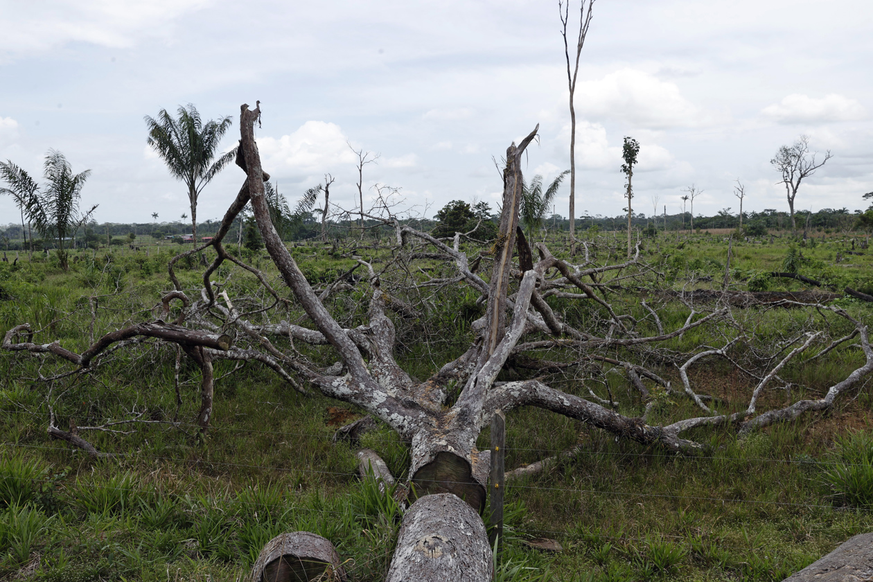 Selva amazónica deforestada en San José del Guaviare. 