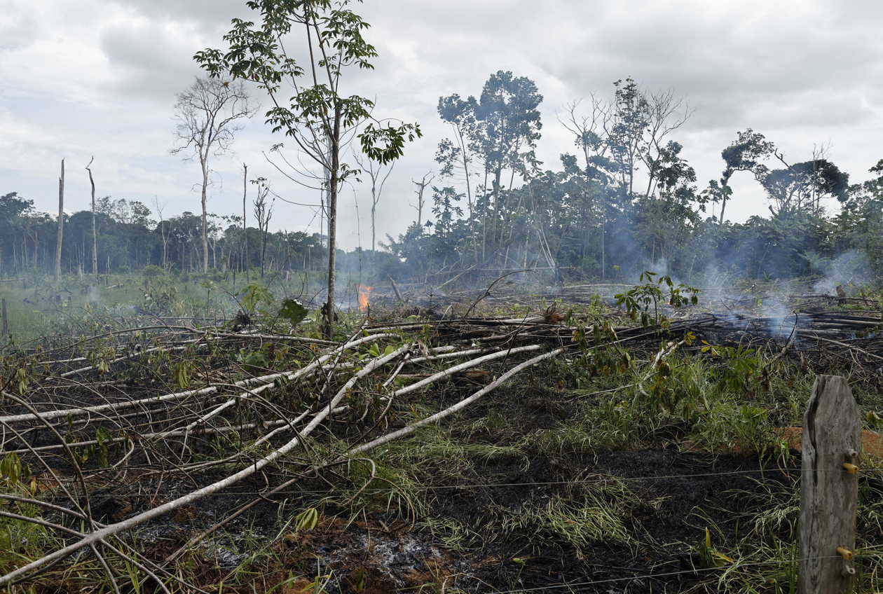 Selva amazónica deforestada en San José del Guaviare. 