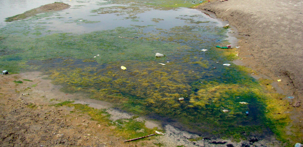 Fotografía de archivo de las aguas contaminadas del río Indus, en Pakistán