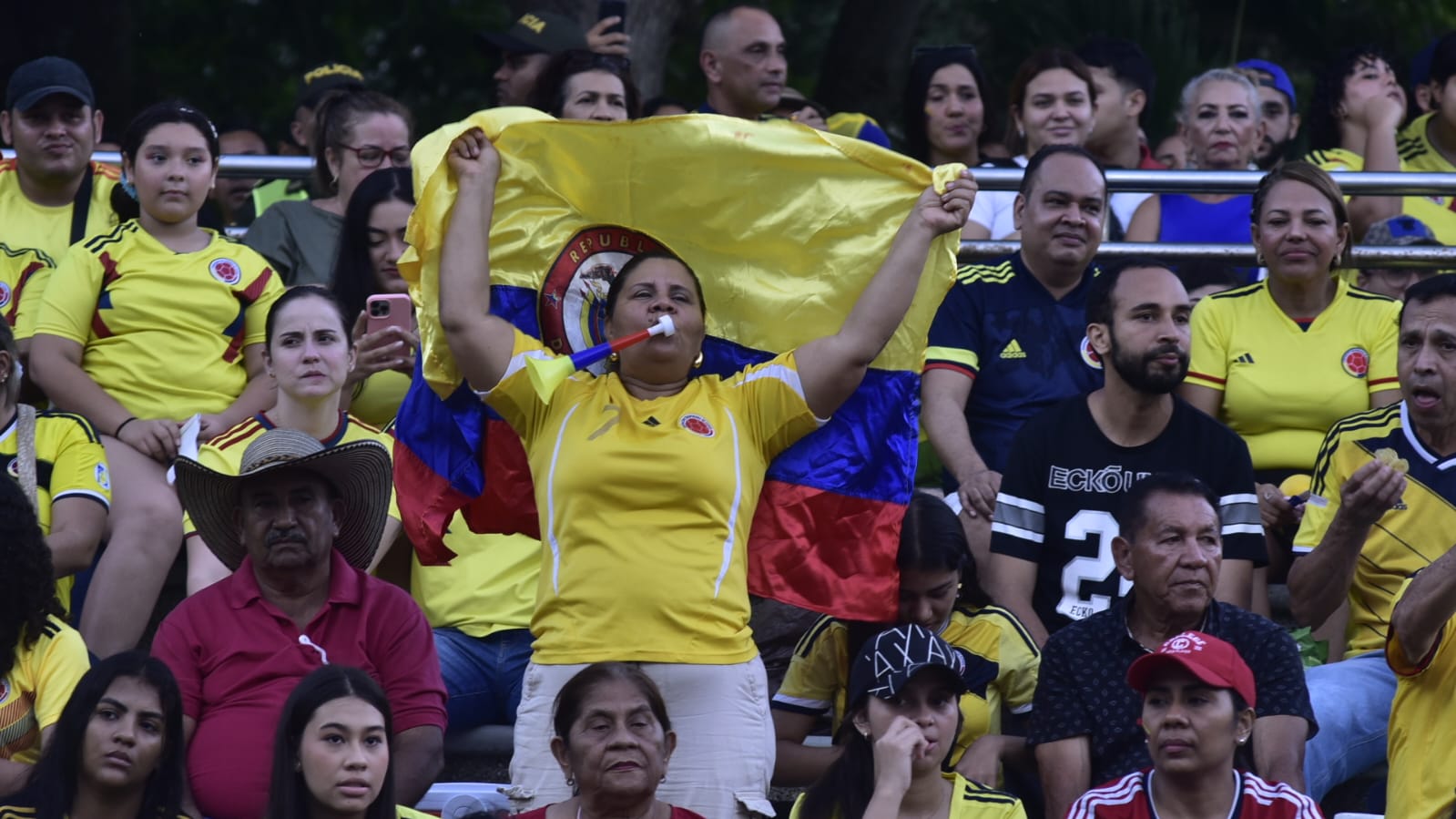 Hinchas con banderas y vuvucelas observando la final de la Copa América en el parque Sagrado Corazón