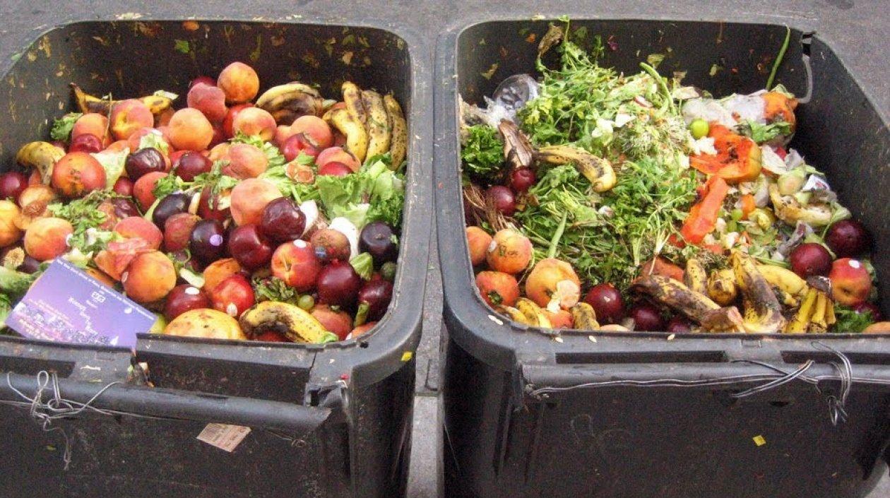 Unas 715 millones de toneladas de frutas y verduras se desperdician anualmente en el mundo.