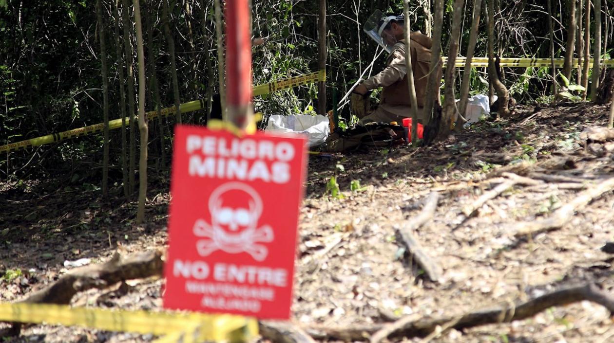 Un total de 221 personas fueron víctimas de minas antipersona