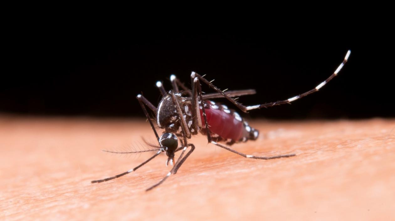 El dengue grave ha causando la muerte de 22 niños en Cartagena.