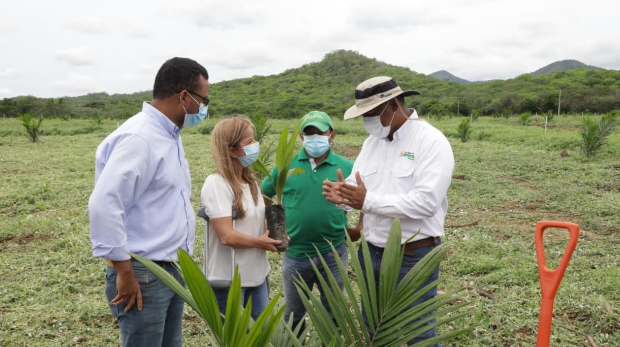 Gobernadora del Atlántico, Elsa Noguera, en Repelón visita un cultivo de palma.