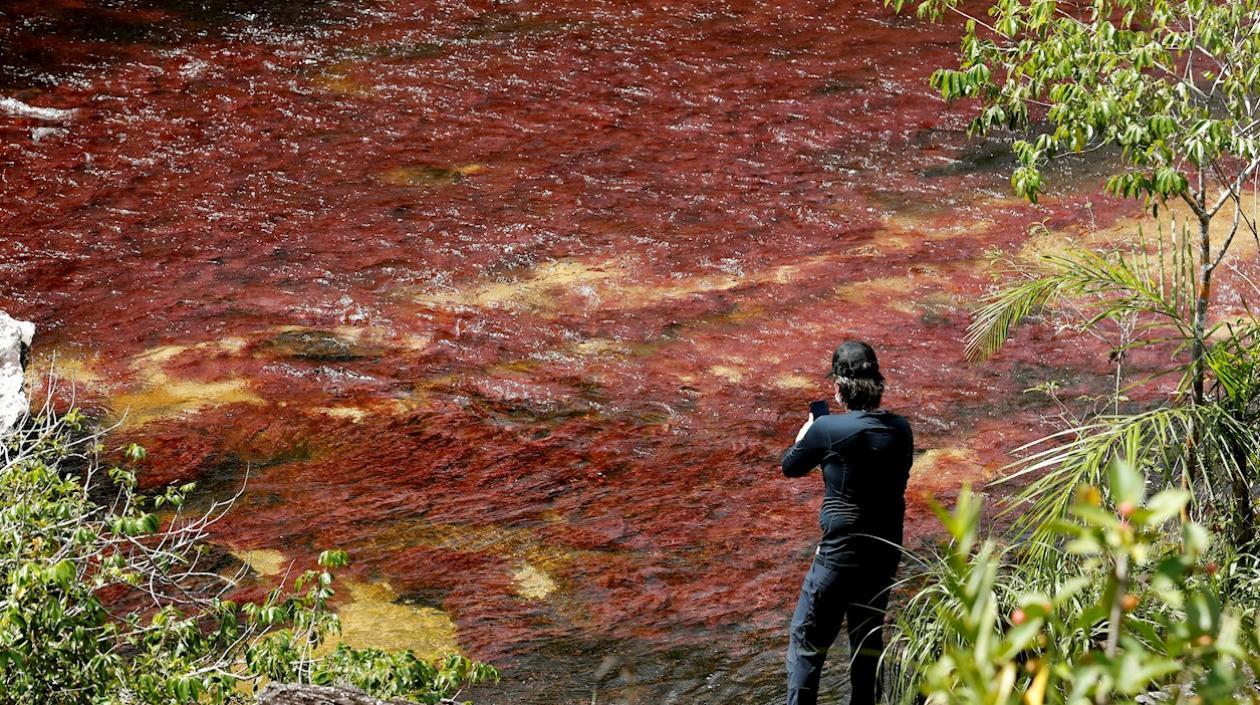 Turista visitando el río Caño Cristales, también llamado el "río de los siete colores", en zona rural de La Macarena, departamento del Meta (Colombia). 