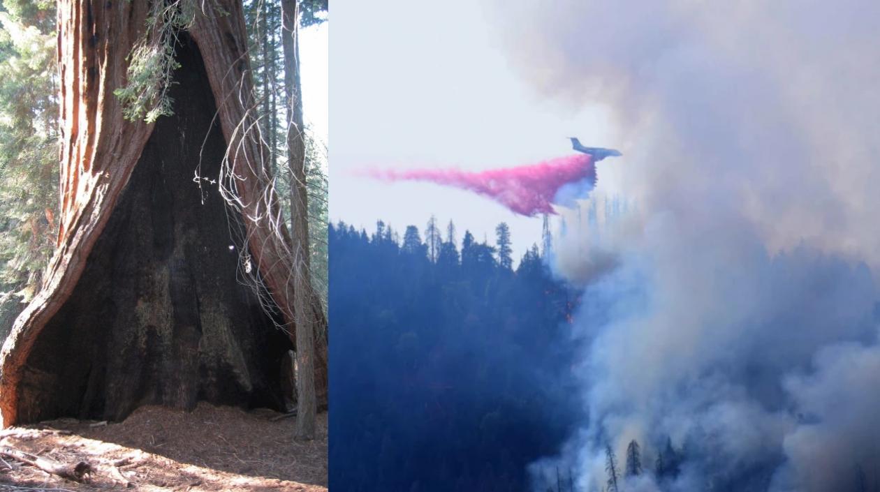  Las autoridades de California se mostraron este miércoles preocupadas por el avance de un incendio en el Parque Nacional Secuoya.