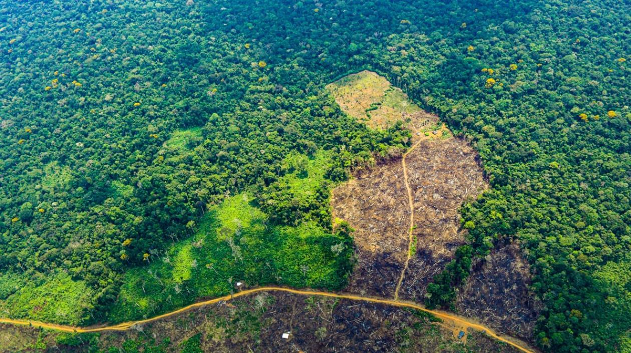 Amazonía colombiana, un área deforestada.