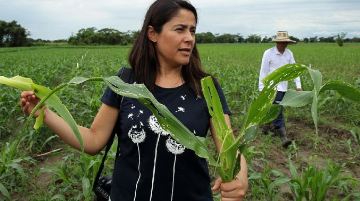 La directora de Agro-Bio en la región Andina, María Uscátegui.