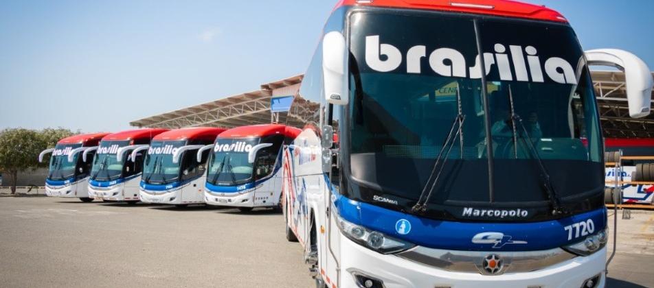 Buses de Expreso Brasilia.