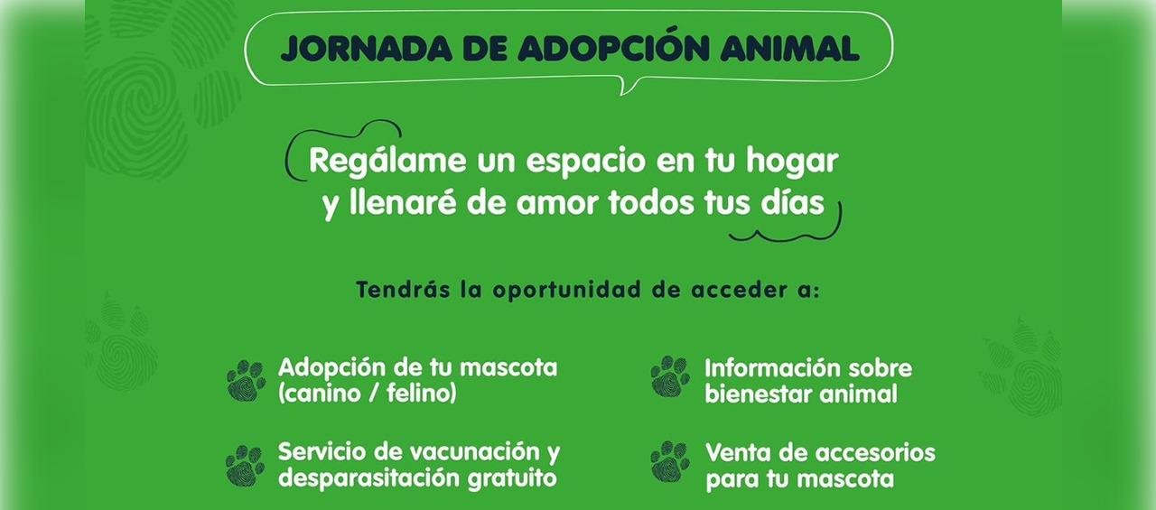 Flyer de jornada de adopción animal.