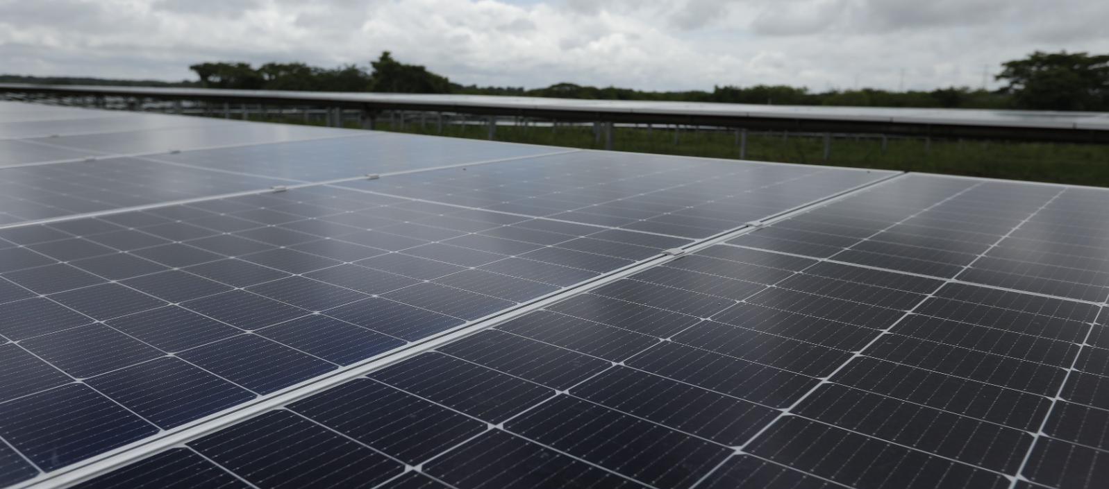 Nuevo proyecto contará con 403.375 módulos fotovoltaicos.