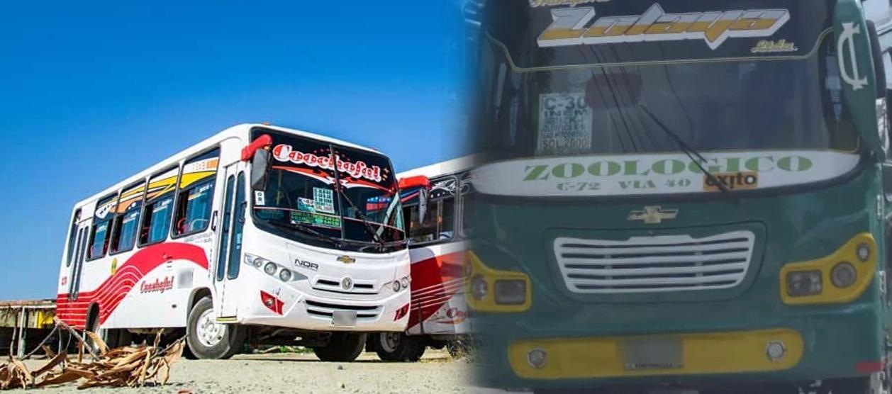 Buses de Coochofal y Transporte Lolaya. 