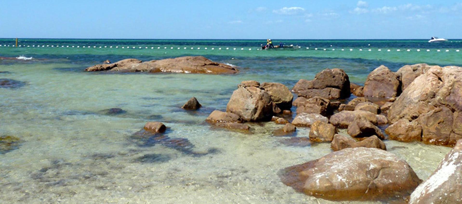 Playa australiana con protección de los tiburones.