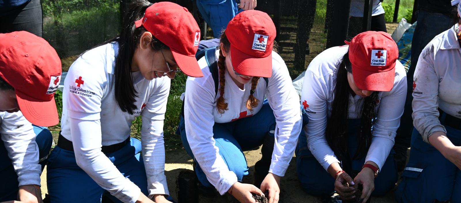 Voluntarios de la Cruz Roja.