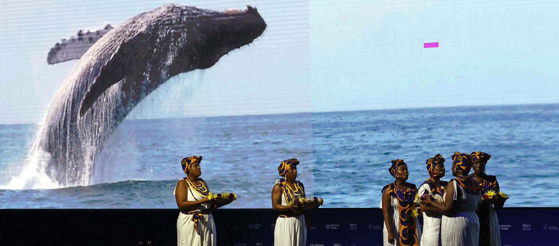 Aspecto de la inauguración del COP16, en Cali. 