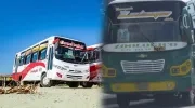 Buses de Coochofal y Transporte Lolaya. 