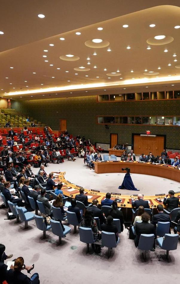Consejo de Seguridad de la ONU.