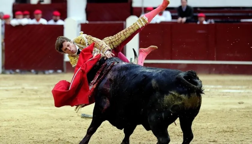 "El Juli", es embestido por el toro "Lancero en la Plaza de Toros Santamaría.