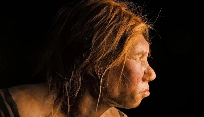 El análisis computacional del ADN humano actual apunta a que la especie desaparecida fue un híbrido de neandertales y denisovanos.