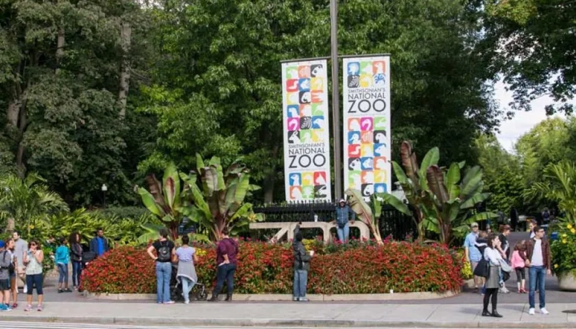 Zoológico de Washington D.C.