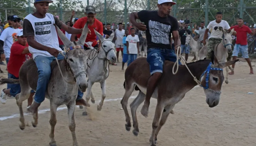 Festival del burro en San Antero Córdoba.