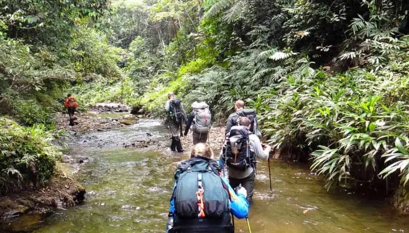 Tour ofrecido por Wandermut.