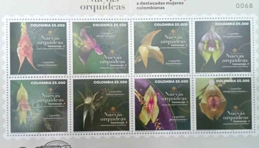 Ocho especies nuevas de orquídeas en el Parque Natural Farallones.
